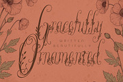 Wanderin Autumn Artisan Floral font, a Script Font by HypeWorksCo (Thumbnail 21 of 28)