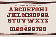 Pararel - Modern Display Sport Font, a Serif Font by overlaytemplates (Thumbnail 4 of 5)