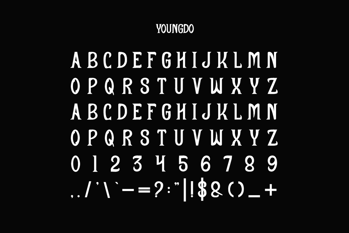 Youngdo - Display Font, a Serif Font by Iqsiart Studio (Photo 4 of 6)