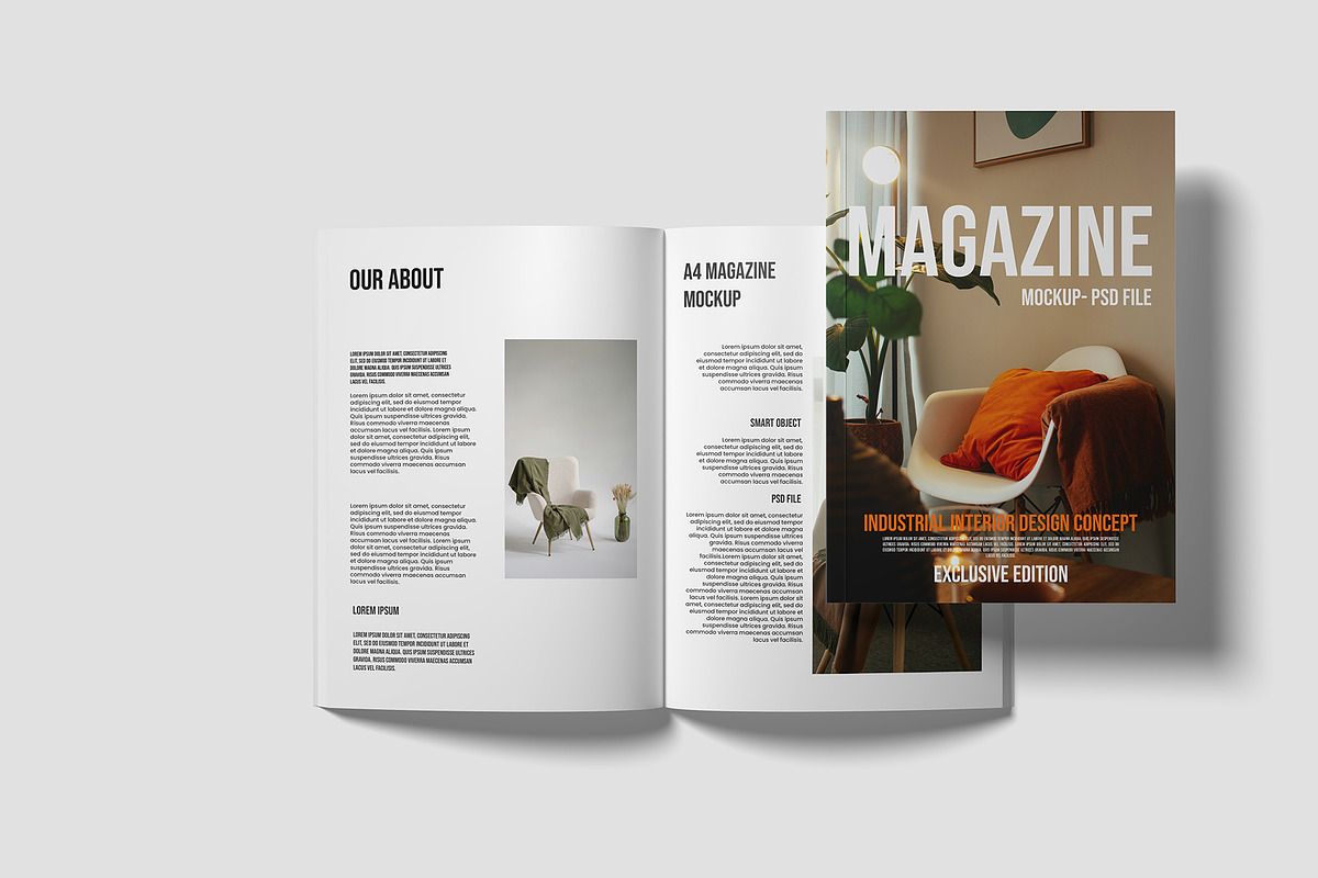 A4 Magazine Mockup, a Books & Magazine Mockup by Graphicbars (Photo 8 of 16)