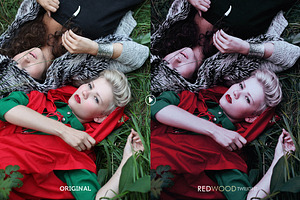 Redwood Photoshop Actions