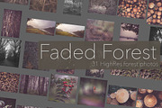 Faded Autumn Forest 31 Photo Pack preview 2