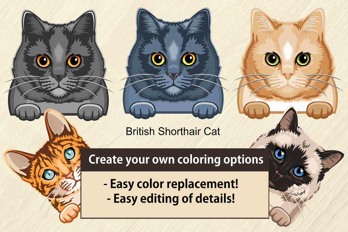 Domestic Cat Color Svg, an Illustration by Digital-Clipart