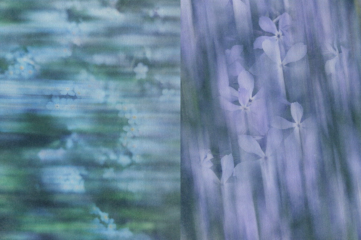 Caelum - Botanical Backgrounds, a Texture Graphic by Watercolor_Ma (Photo 9 of 9)