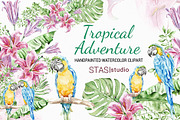 Tropical Parrots Watercolor Clipart, a Decorative Illustration by STASIstudio (Thumbnail 1 of 4)