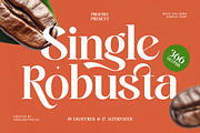 Single Robusta Modern Display Serif, a Serif Font by timelesstype.co (Thumbnail 1 of 20)