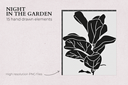 Night in the garden, a Graphic by mamormo (Thumbnail 4 of 5)