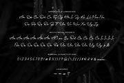 Charlotte Amalie - Stylish Signature, a Script Font by Almarkhatype (Thumbnail 10 of 10)