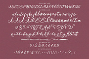 Mellonikha Brush Script Font, a Script Font by NTC Graphic (Thumbnail 8 of 9)