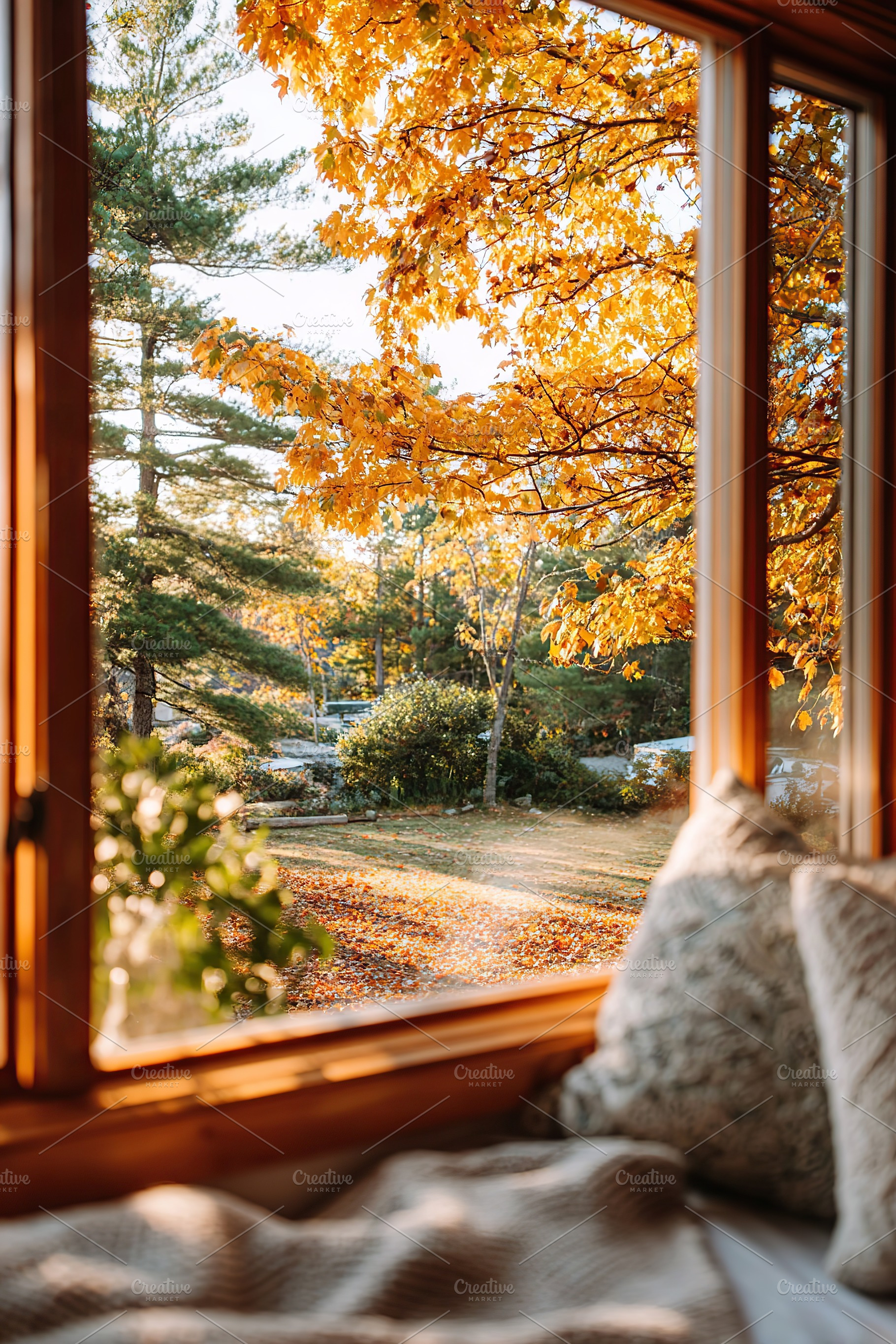 Relaxing digital detox retreat cabin with autumn views in the countryside setti, a Beauty & Fashion Photo by AlyaAnd