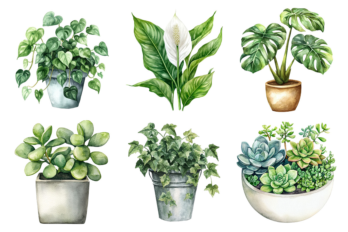 Watercolor Home Plants Clipart, an Illustration by Daily.Designs (Photo 2 of 5)