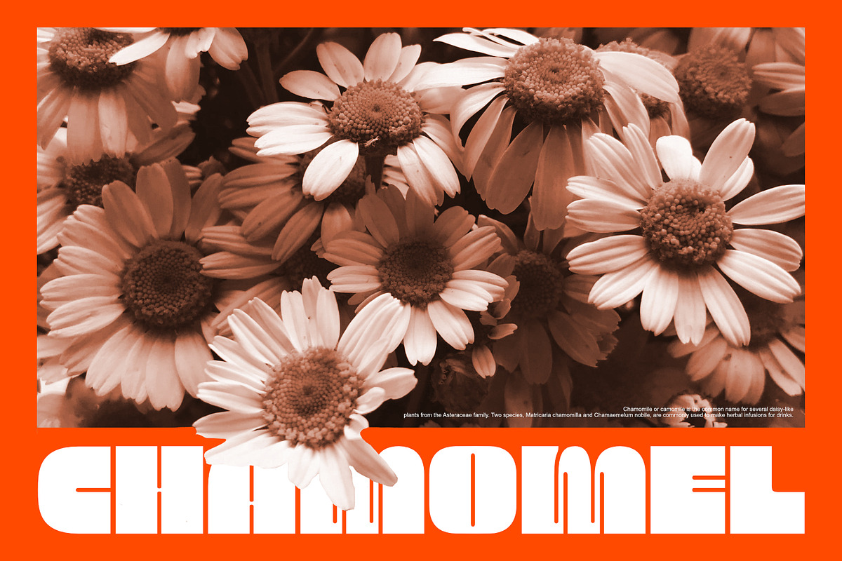 Elastika - Display Font, a Sans Serif Font by Khoir (Photo 9 of 9)