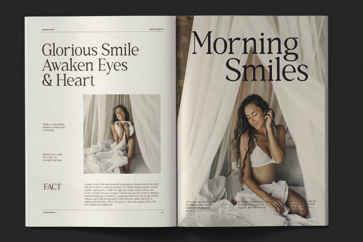 GC Quick Gaseous – Elegant Serif, a Serif Font by Glyphonic (Photo 12 of 15)