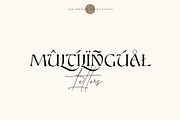 Seaker - Serif Typeface, a Serif Font by Tropical Type (Thumbnail 12 of 12)