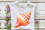 Watercolor Colorful Sea Shell Clipar, an Illustration by Rose Art (Thumbnail 5 of 7)