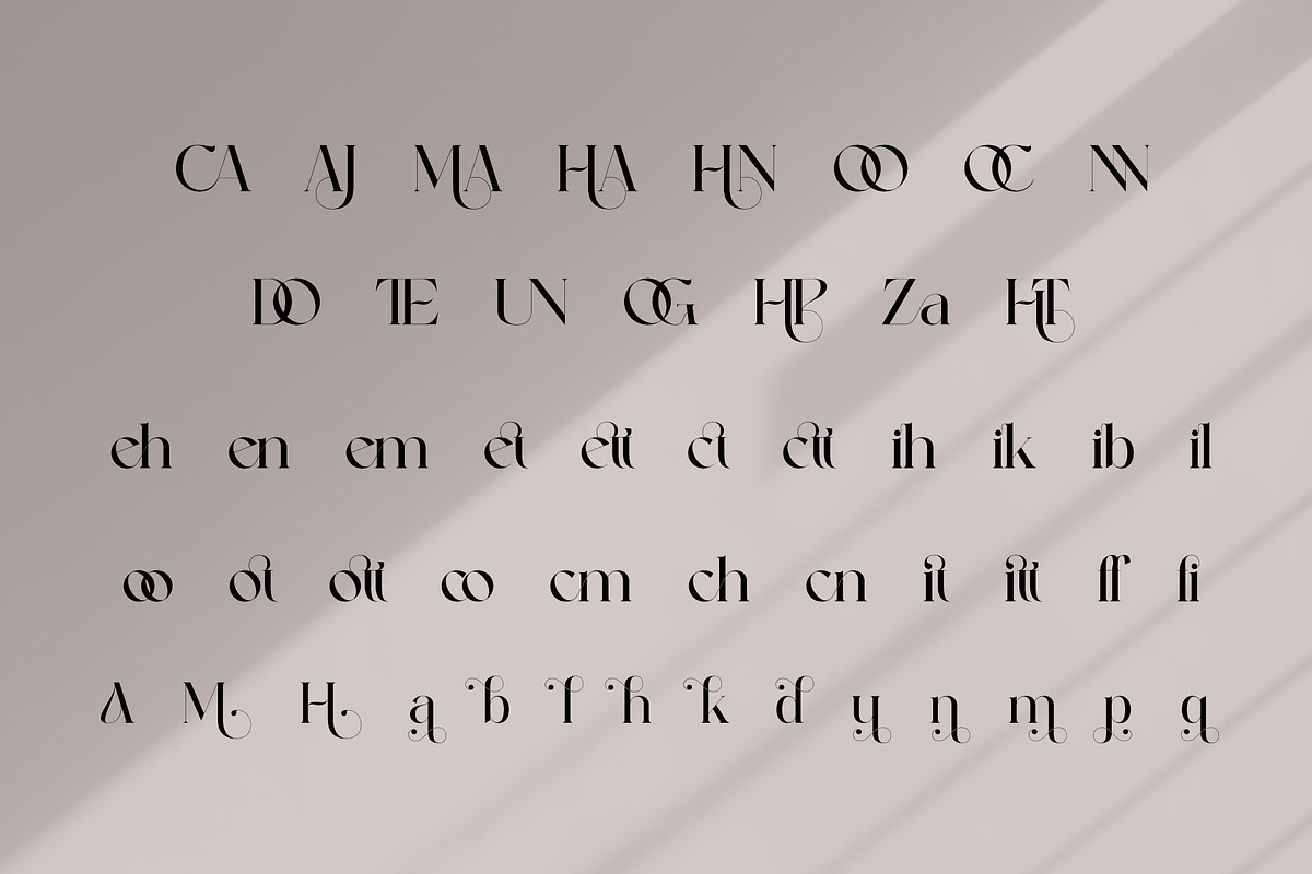 Gabule Modern Elegant Serif, a Serif Font by Alfinart (Photo 10 of 10)