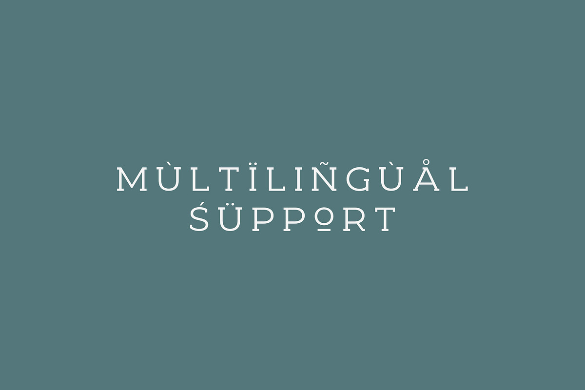 Woodman Slab Serif Font, a Slab Serif Font by Graphicdome (Photo 11 of 14)