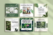 Gardening Instagram Canva Post Temp, a Social Media Template by Snapybiz (Thumbnail 8 of 10)