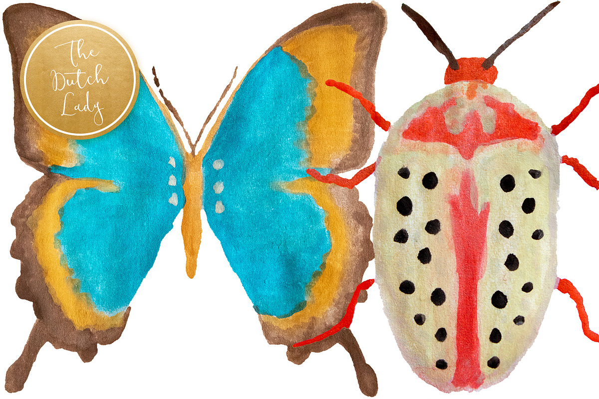 Handpainted Insect Clipart Set, an Illustration by The Dutch Lady Designs (Photo 4 of 6)