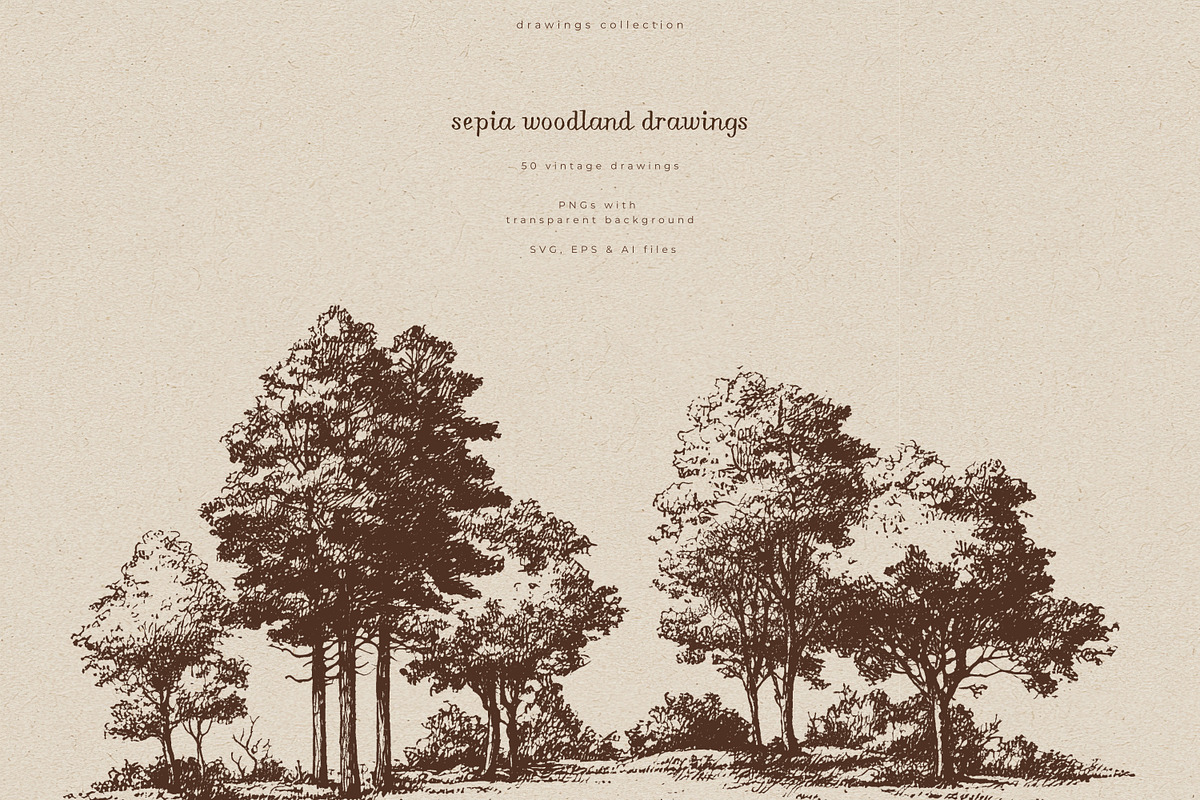 Sepia Woodland Drawings, an Animal Illustration by PeDe Designs (Photo 8 of 15)