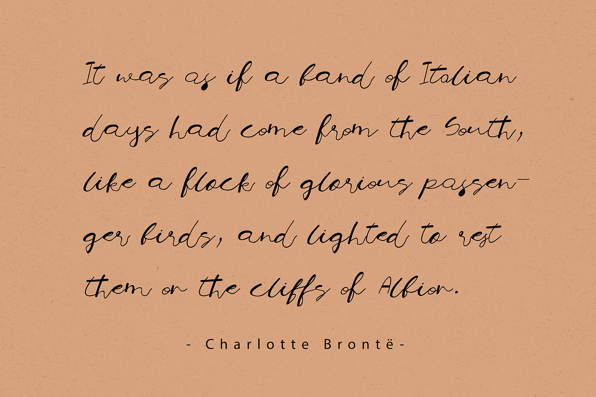 Sarebbe Bellissimo | Stylish Script, a Script Font by Mr.Typeman (Photo 5 of 7)