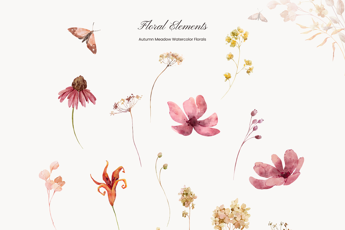 Autumn Meadow Watercolor Florals, a Seasonal Illustration by Yuliia Lashevska (Photo 13 of 14)