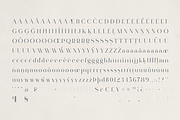 Iselora – A Sophisticated Serif Font, a Serif Font by Only Fonts (Thumbnail 10 of 11)
