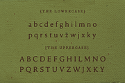 Organic Tobacco, a Serif Font by Hederae Type Foundry (Thumbnail 4 of 7)