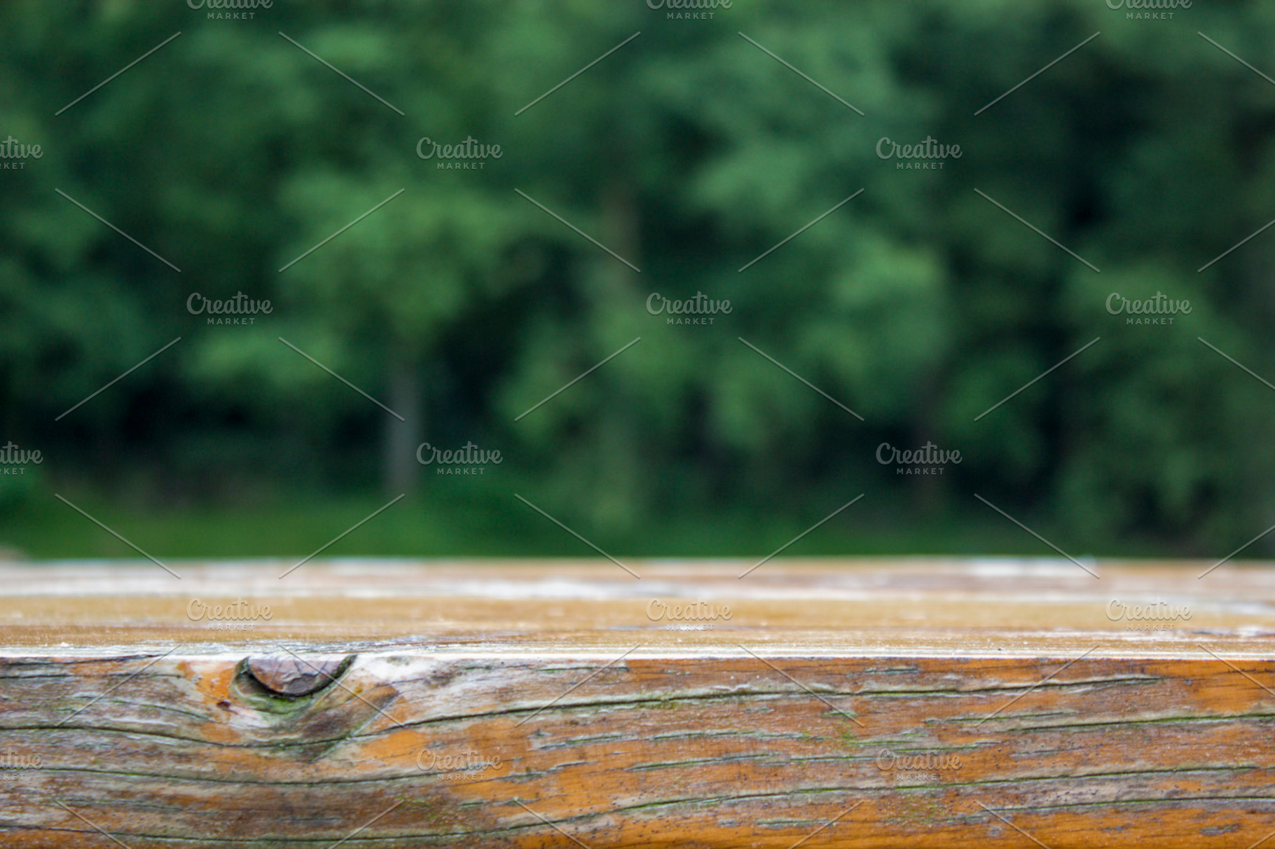 Wood close up I