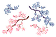 Watercolor cherry blossom, an Illustration by Color_Brush (Thumbnail 2 of 5)