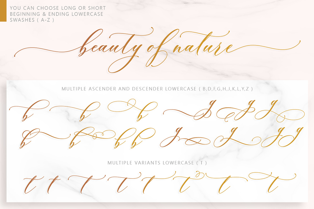 Brendisa Script, a Script Font by JamalCreativeStudio (Photo 7 of 8)