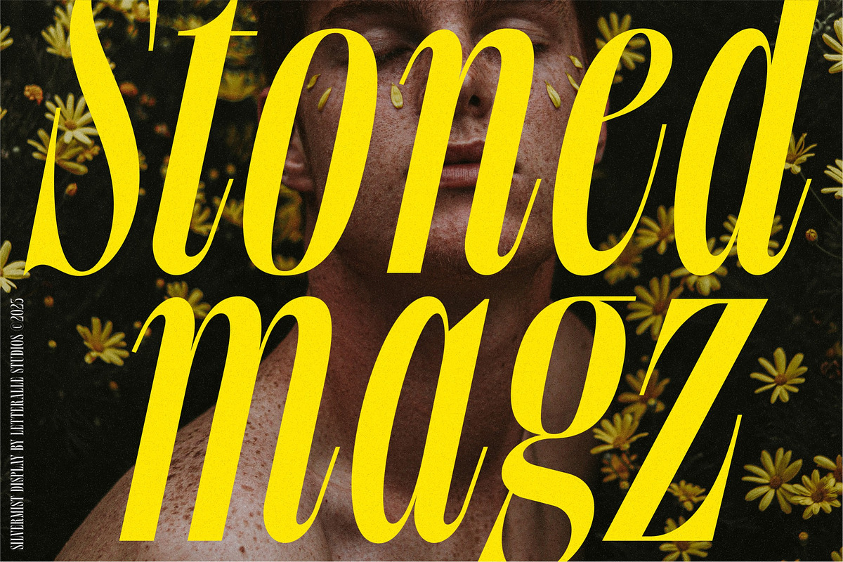Silvermist Display Serif, a Serif Font by Letteralle Studios (Photo 7 of 9)