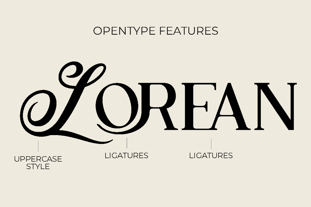 Lotus Heart - Classy Ligature Font, a Serif Font by PutraCetol Studio (Photo 4 of 11)