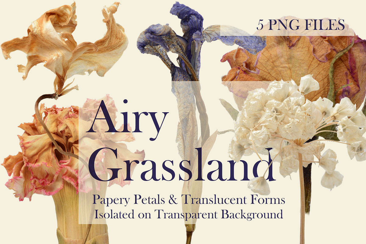 Airy Grassland — Papery Petals & Tra, an Object Graphic by Aga Silva (Photo 2 of 7)