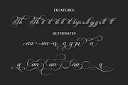 Dealova, a Script Font by HKL Studio (Thumbnail 8 of 11)