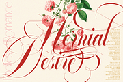 GLOWING ROMANCE — Luxury Calligraphy, a Script Font by Enxyclo Studio (Thumbnail 10 of 22)
