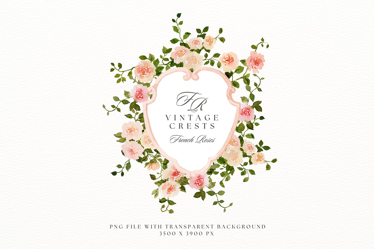 Crests and monograms with roses, a Decorative Illustration by AnnelyBlooms (Photo 3 of 9)