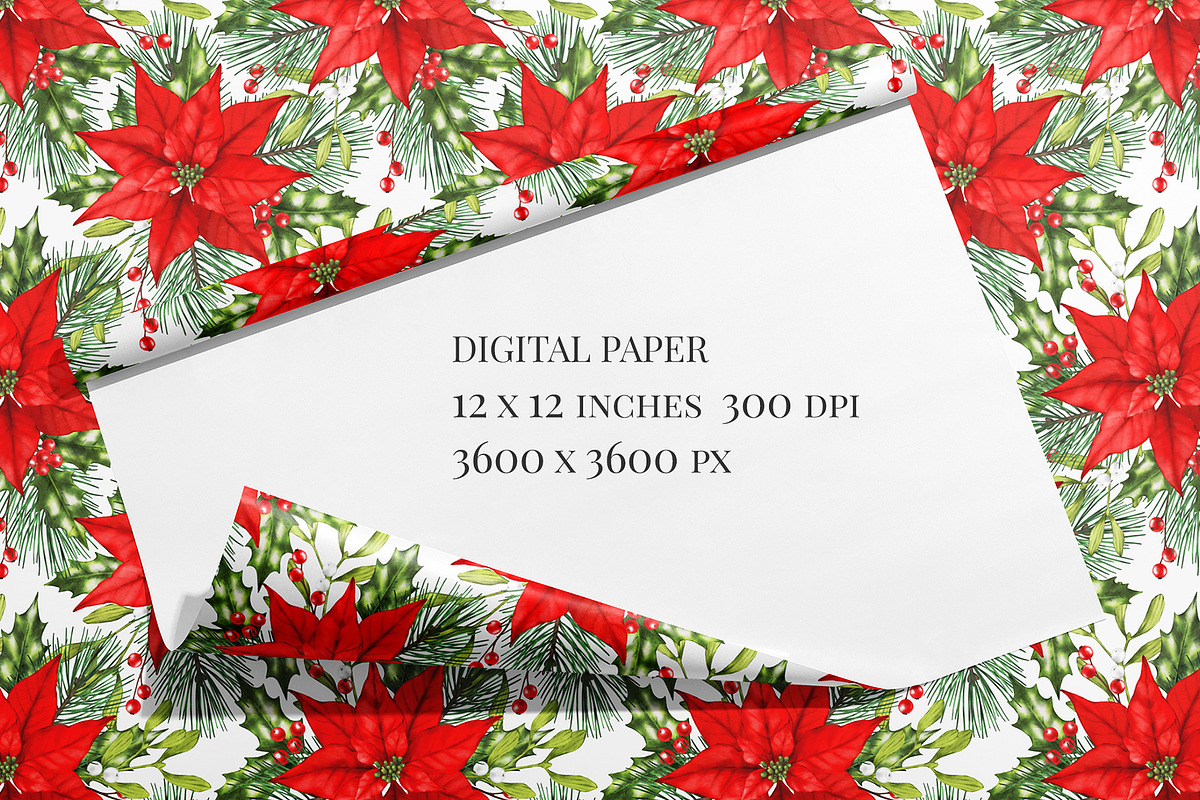 Poinsettia seamless pattern png., a Pattern Graphic by ARTVracovska (Photo 6 of 6)