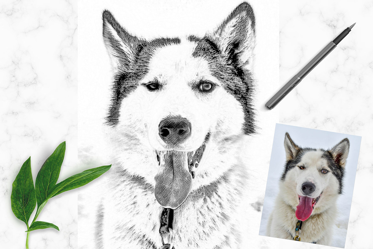 Pencil Drawing Photoshop Action, an Action Add-On by MockUpgrade (Photo 6 of 7)