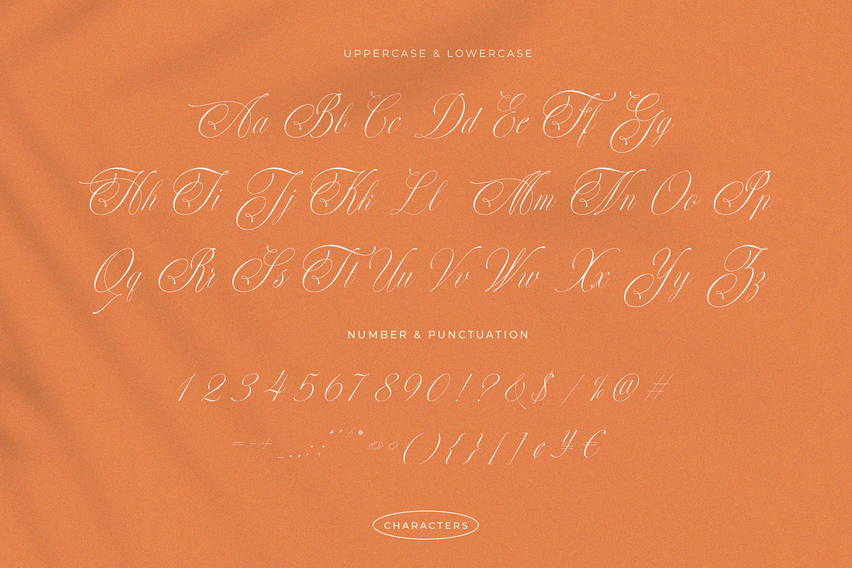 Perfections - Classy Romantic Script, a Script Font by BrandSemut (Photo 6 of 15)