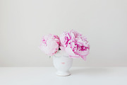 Lady Peony Mini-Bundle, a Beauty & Fashion Photo by Light & Grace (Thumbnail 2 of 6)