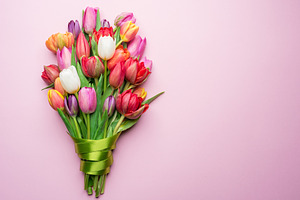 Colorful bouquet of tulips on white, a Holiday Photo by Volff