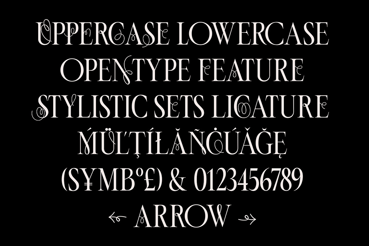 ED Manola - Unique Serif, a Serif Font by Emyself Design (Photo 6 of 12)