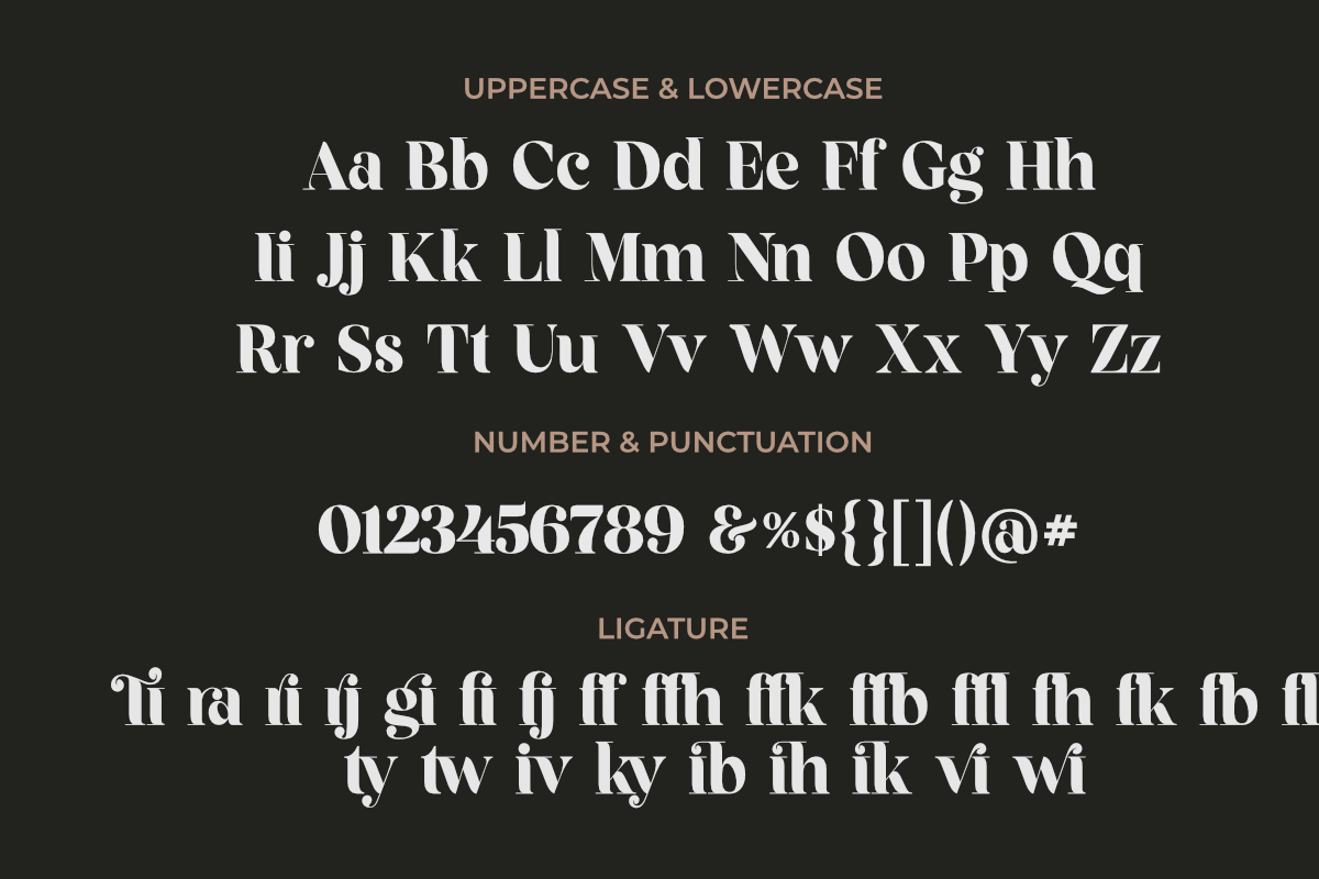 Fragille Modern Serif, a Serif Font by Silverdav (Photo 9 of 10)
