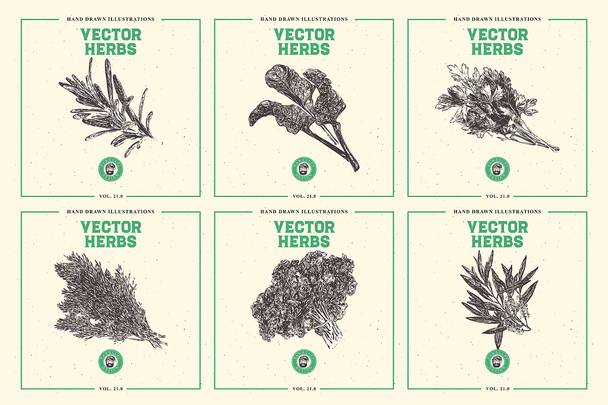 VECTOR HERBS HAND DRAWN BUNDLE v20, a Food Illustration by pawellpi (Photo 5 of 6)