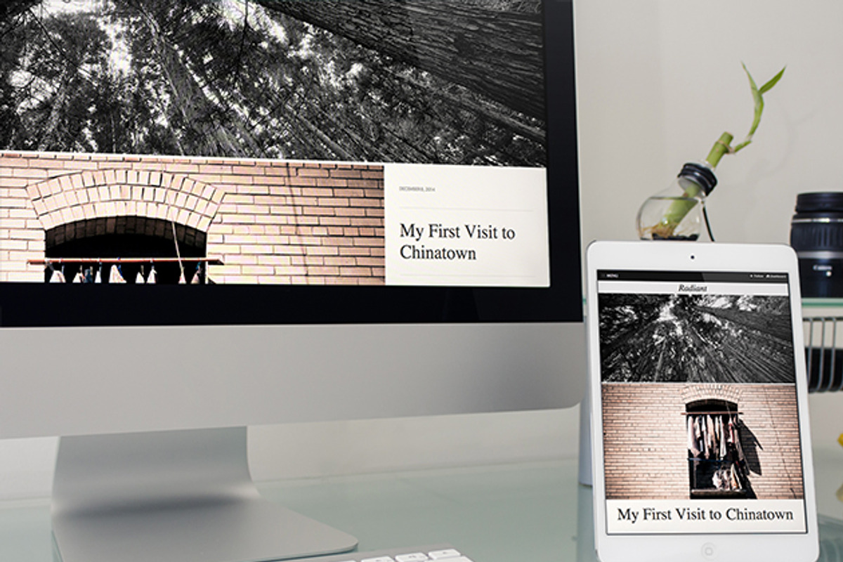 Radiant Tumblr Theme, a Websites & App Template by Storyware (Photo 5 of 5)