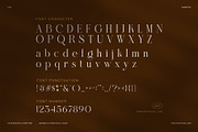 Brilion Elegant Serif Font, a Serif Font by Graphicxell (Thumbnail 7 of 8)
