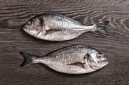 Fresh dorado fish on dark wooden background containing background, board, and preview 6