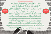History Silentos Brush Script Font, a Script Font by stylishtype.co (Thumbnail 15 of 15)