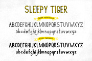 Sleepy Tiger - Font Duo, a Sans Serif Font by 3ora (Thumbnail 5 of 7)